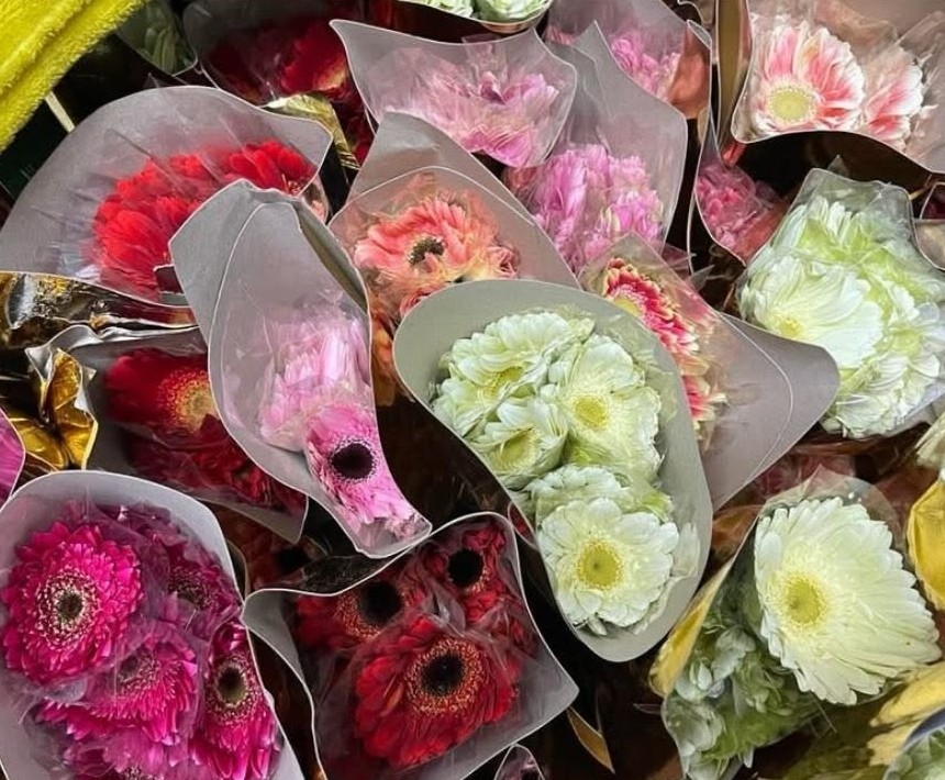 Gerbera daisies in mixed colors