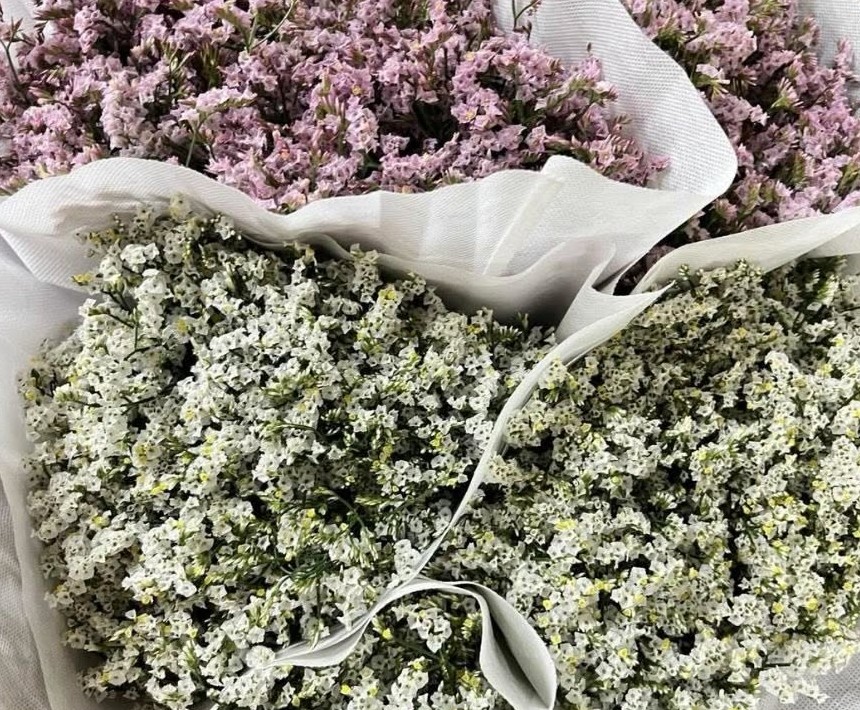 Misty flowers in lilac and white
